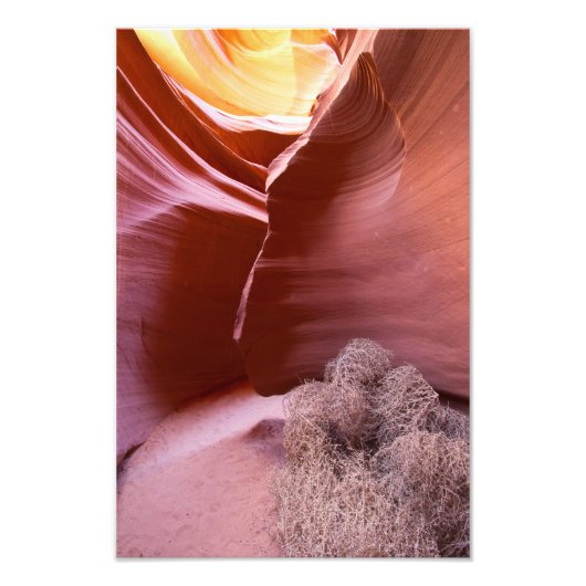 Canyon in vielen Farben Fotodruck (Vorne)