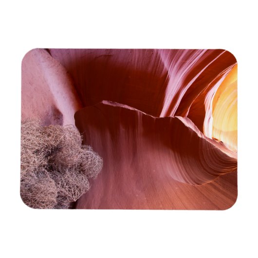 Canyon in vielen Farben Magnet (Horizontal)