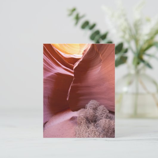 Canyon in vielen Farben Postkarte (Stehend Vorderseite)