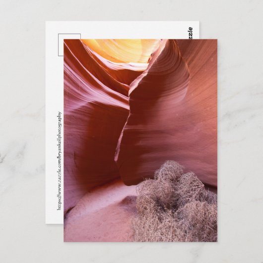 Canyon in vielen Farben Postkarte (Vorne/Hinten)