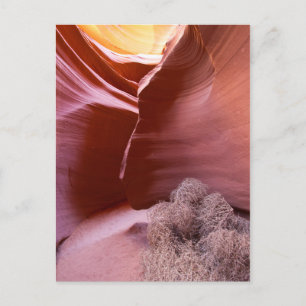 Canyon in vielen Farben Postkarte