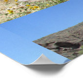 Canyon Lake Far Poster (Ecke)