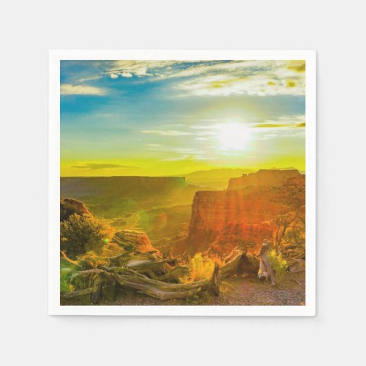 Canyon lands National Park Moab Utah Serviette (Vorderseite)