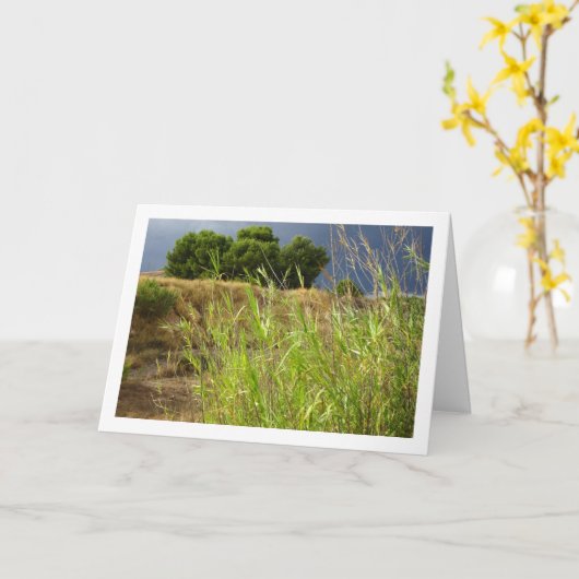 Canyon Landscape Karte (Gelbe Blume)