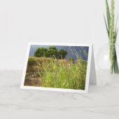 Canyon Landscape Karte (Vorderseite)