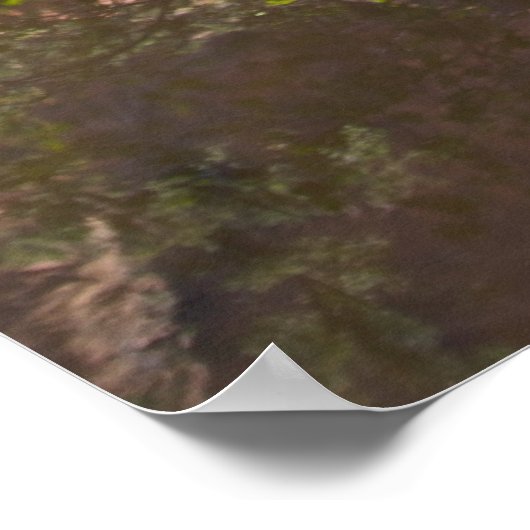 Canyon Mirror Poster (Ecke)