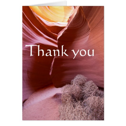 Canyon mit vielen Farben, danke (Vorne)