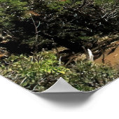 Canyon Overlook Poster (Ecke)