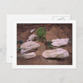 Canyon Pods Postkarte (Vorne/Hinten)