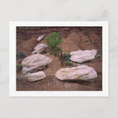 Canyon Pods Postkarte (Vorderseite)