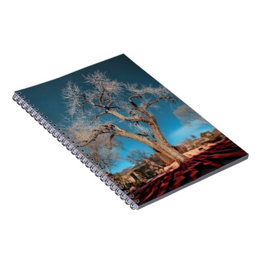 Canyon Road Tree Notizblock (Rechte Seite)