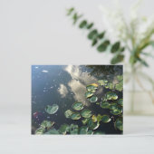 Canyon Seen Postcard Postkarte (Stehend Vorderseite)