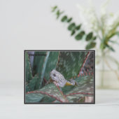 Canyon Tree Frog Postkarte (Stehend Vorderseite)