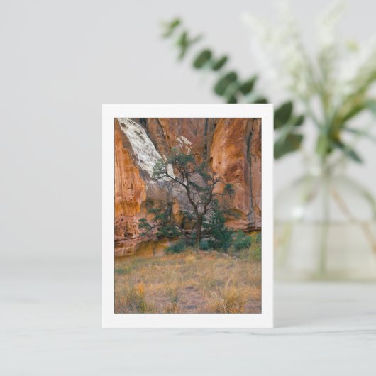 "Canyon View With Tree" Postkarte (Stehend Vorderseite)