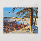 Canyon Winter Snow Pine Trees Utah Postkarte (Vorderseite)