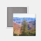 Canyonbaum Magnet (Vorderseite/Rückseite)