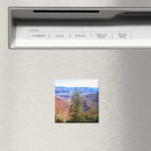 Canyonbaum Magnet (In Situ (Geschirrspüler))