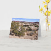 Canyonlands Aussicht vom Höhlensprings-Pfad Karte (Gelbe Blume)