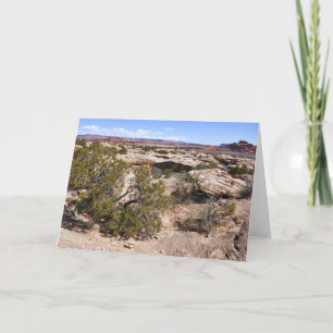 Canyonlands Aussicht vom Höhlensprings-Pfad Karte