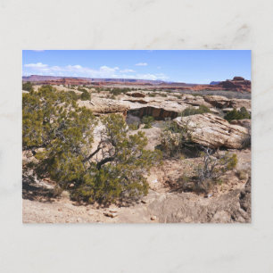 Canyonlands Aussicht vom Höhlensprings-Pfad Postkarte
