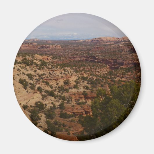 Canyonlands Aussicht vom Neck Springs Trail Magnet (Vorne)