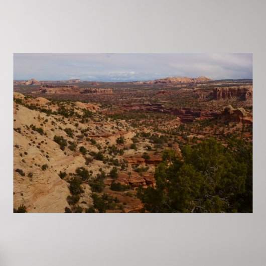 Canyonlands Aussicht vom Neck Springs Trail Poster (Vorne)