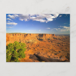 Canyonlands National Park, Utah, Vereinigte Staate Postkarte