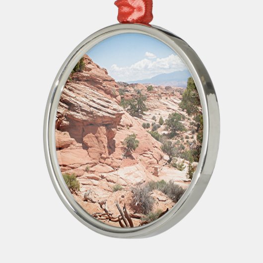 Canyonlands Nationalpark, Utah, USA 1 Silbernes Ornament (Links)