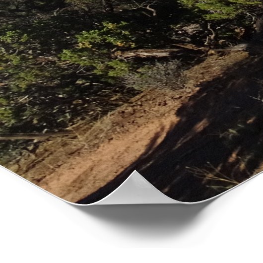 Canyonlands, Utah Poster (Ecke)