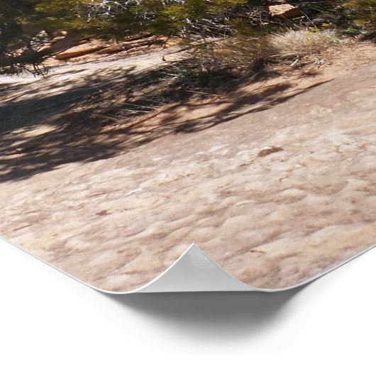 Canyonlands View from Cave Springs Trail Poster (Ecke)