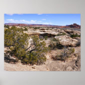 Canyonlands View from Cave Springs Trail Poster (Vorne)