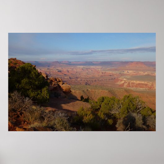 Canyonlands View von Grand View Point Trail Poster (Vorne)
