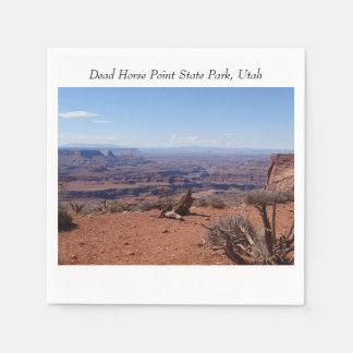 Canyons am Toten Staat Point Park Serviette
