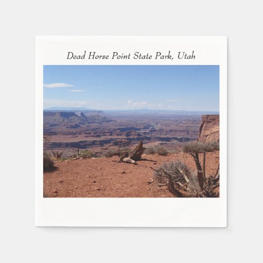 Canyons am Toten Staat Point Park Serviette (Vorderseite)