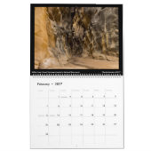 Canyonscapes Kalender 2022 (Feb 2027)