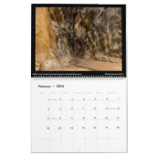 Canyonscapes Kalender 2022 (Feb 2026)