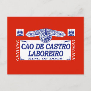 Cao De Castro Laboreiro Postkarte