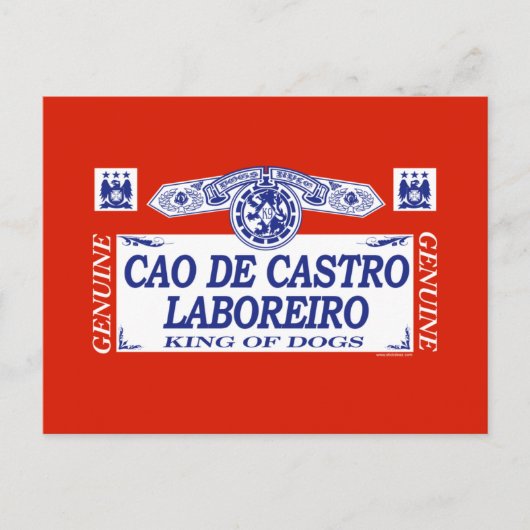 Cao De Castro Laboreiro Postkarte (Vorderseite)