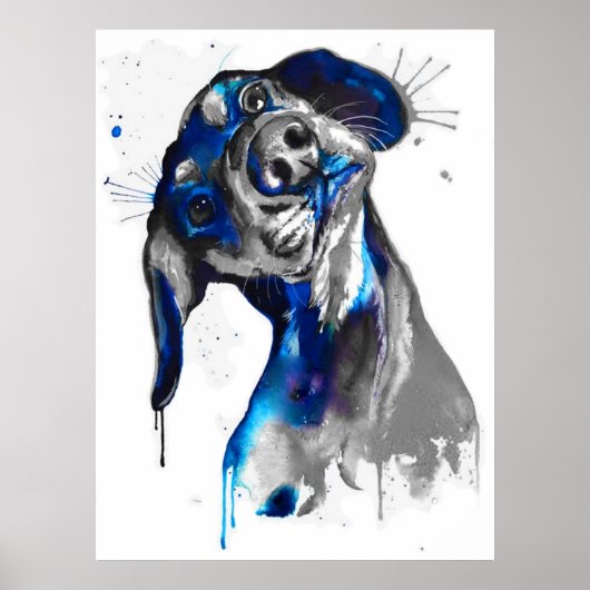 Cão em Azul Poster (Vorne)