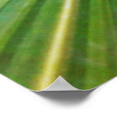 capa de pamonha poster (Ecke)