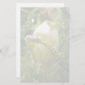 Capanea Grandiflora Briefpapier (Vorne/Hinten)