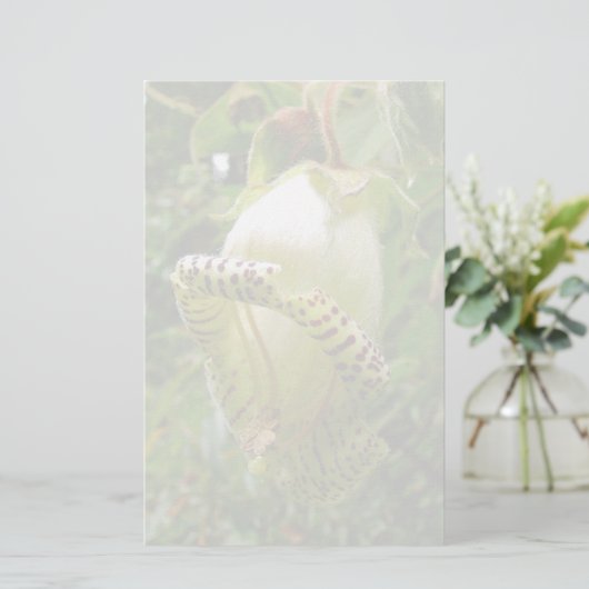 Capanea Grandiflora Briefpapier (Stehend Vorderseite)