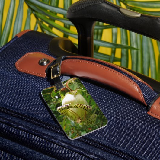 Capanea Grandiflora Gepäckanhänger (Vorderseite Insitu 1)