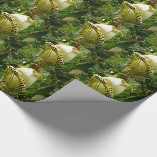 Capanea Grandiflora Geschenkpapier (Ecke)