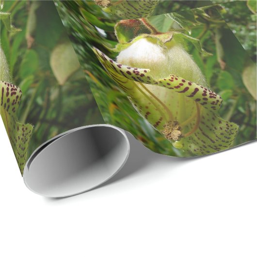 Capanea Grandiflora Geschenkpapier (Rolleneckpunkt)