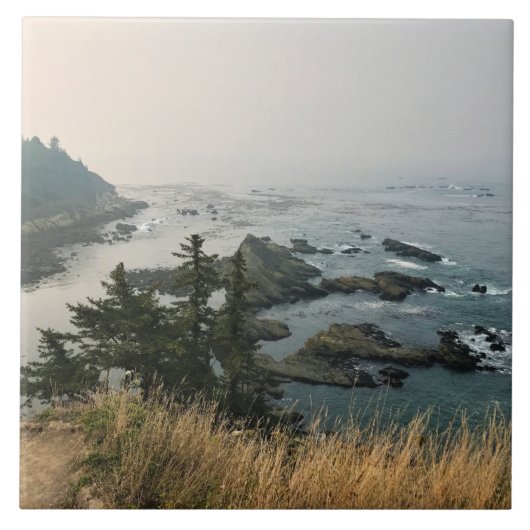 Cape Arago State Park, Oregon Coast Fliese (Vorderseite)