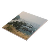 Cape Arago State Park, Oregon Coast Fliese (Seite)