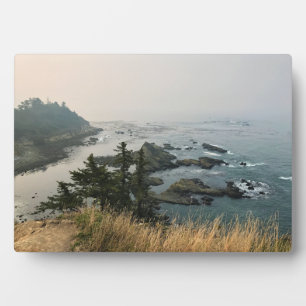 Cape Arago State Park, Oregon Coast Fotoplatte