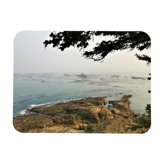 Cape Arago State Park, Oregon Coast Magnet (Horizontal)