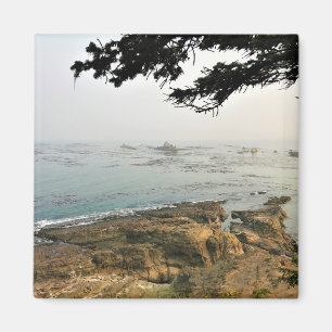 Cape Arago State Park, Oregon Coast Magnet